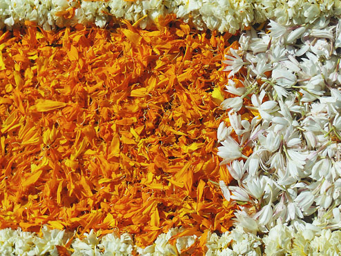 Dyvali Ayurveda - Fond fleurs